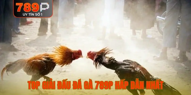 Top giải đấu đá gà 789P hấp dẫn nhất