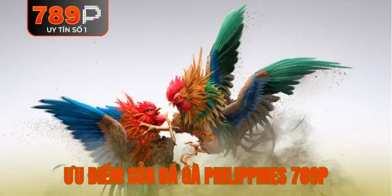 Ưu điểm của đá gà Philippines 789P
